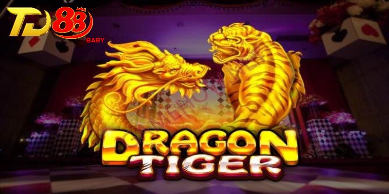 Giới thiệu về Rồng Hổ